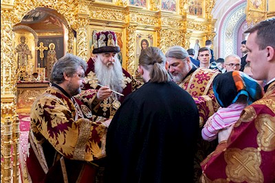 Божественная литургия в Свято-Троицком кафедральном соборе г. Саратова
