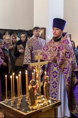 Божественная литургия в храме в честь иконы Божией Матери «Всех скорбящих Радость» г. Саратова
