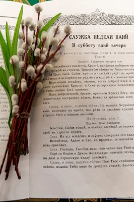 Всенощное бдение в Свято-Троицком кафедральном соборе г. Саратова