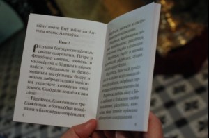 В канун дня памяти Петра и Февронии в храме Сошествия Святого Духа был совершён молебен о семейном благополучии и об обретении супруга или супруги