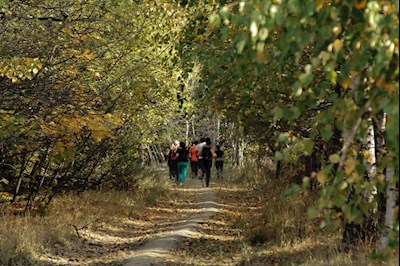 Состоялся забег, посвященный Дню трезвости