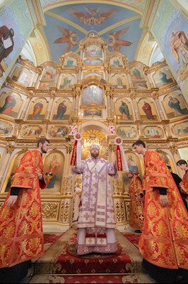 Исполнилось три года со дня назначения митрополита Игнатия на Саратовскую кафедру
