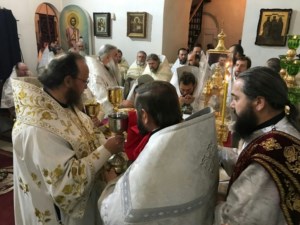 Митрополит Лонгин совершил заупокойную Литургию по почившему Митрополиту Нежинскому и Прилукскому Иринею