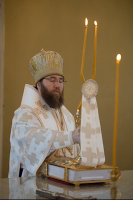 Митрополит Игнатий совершил Божественную литургию в Покровском соборе г. Саратова