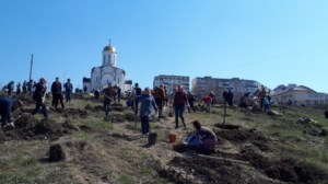 Прихожане саратовских храмов разбили сад в Солнечном