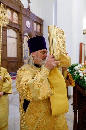 Митрополит Игнатий совершил Божественную литургию в храме святителя Тихона Задонского г. Саратова