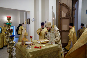 Митрополит Игнатий совершил Божественную литургию в храме святителя Тихона Задонского г. Саратова
