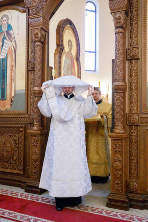 Митрополит Игнатий совершил Божественную литургию в храме святителя Тихона Задонского г. Саратова