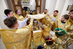 Митрополит Игнатий совершил Божественную литургию в храме святителя Тихона Задонского г. Саратова
