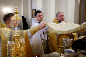 Митрополит Игнатий совершил Божественную литургию в храме святителя Тихона Задонского г. Саратова