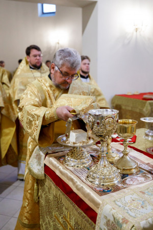 Митрополит Игнатий совершил Божественную литургию в храме святителя Тихона Задонского г. Саратова