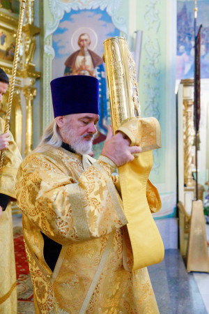 Митрополит Игнатий совершил детскую Литургию в Покровском соборе г. Саратова