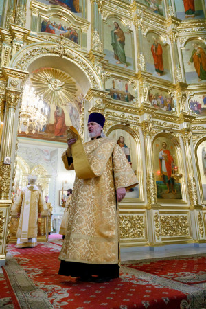 Митрополит Игнатий совершил детскую Литургию в Покровском соборе г. Саратова