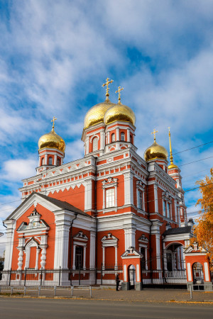 Митрополит Игнатий совершил детскую Литургию в Покровском соборе г. Саратова