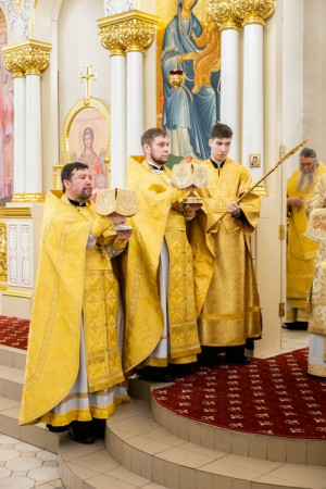 Архиереи Саратовской митрополии совершили Божественную литургию в соборном храме святителя Спиридона Тримифунтского г. Саратова