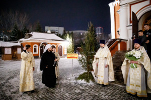 Ночное рождественское богослужение в Свято-Троицком кафедральном соборе г. Саратова