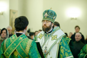Митрополит Игнатий совершил Божественную литургию в соборном храме святителя Спиридона Тримифунтского г. Саратова