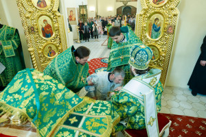 Митрополит Игнатий совершил Божественную литургию в соборном храме святителя Спиридона Тримифунтского г. Саратова
