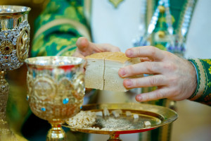 Митрополит Игнатий совершил Божественную литургию в соборном храме святителя Спиридона Тримифунтского г. Саратова