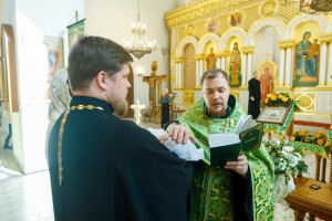 Митрополит Игнатий совершил таинство Крещения