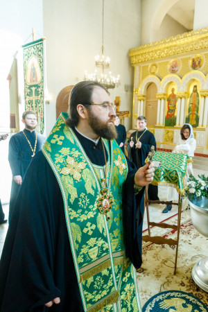 Митрополит Игнатий совершил таинство Крещения