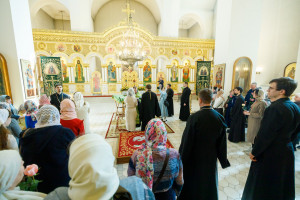 Митрополит Игнатий совершил таинство Крещения
