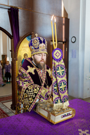 Митрополит Игнатий совершил Божественную литургию в Петропавловском храме г. Саратова