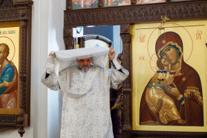 Митрополит Игнатий совершил Божественную литургию в Петропавловском храме г. Саратова