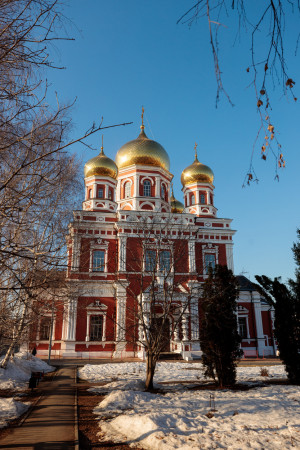 Митрополит Игнатий совершил Божественную литургию в Покровском соборе г. Саратова