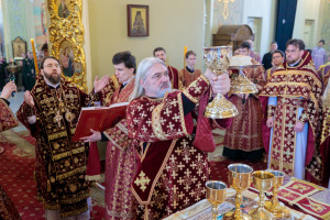 Митрополит Игнатий совершил Божественную литургию в Покровском соборе г. Саратова