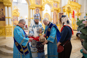Митрополит Игнатий совершил Божественную литургию в Николо-Тихвинском соборном храме г. Саратова