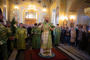Митрополит Игнатий совершил всенощное бдение в Покровском соборе г. Саратова