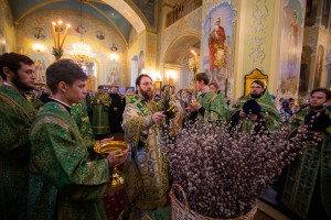 Митрополит Игнатий совершил всенощное бдение в Покровском соборе г. Саратова