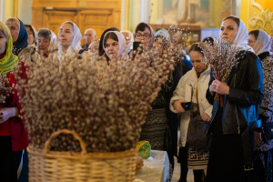 Митрополит Игнатий совершил всенощное бдение в Покровском соборе г. Саратова