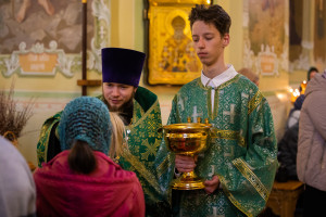 Митрополит Игнатий совершил всенощное бдение в Покровском соборе г. Саратова