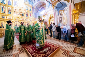Божественная литургия в Свято-Троицком кафедральном соборе г. Саратова