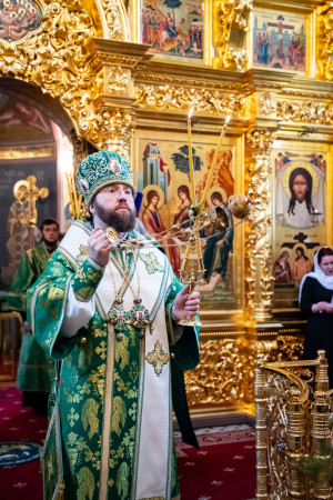 Божественная литургия в Свято-Троицком кафедральном соборе г. Саратова