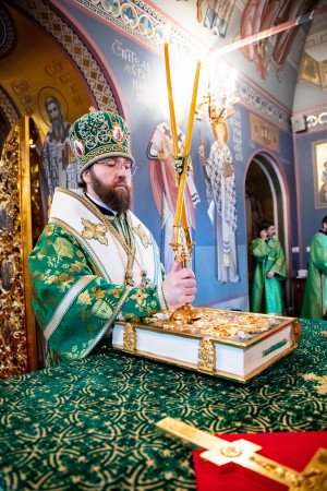 Божественная литургия в Свято-Троицком кафедральном соборе г. Саратова