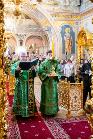 Божественная литургия в Свято-Троицком кафедральном соборе г. Саратова