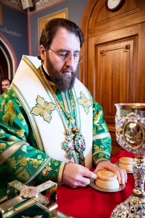 Божественная литургия в Свято-Троицком кафедральном соборе г. Саратова