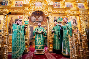 Божественная литургия в Свято-Троицком кафедральном соборе г. Саратова