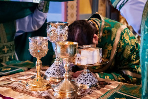 Божественная литургия в Свято-Троицком кафедральном соборе г. Саратова