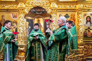 Божественная литургия в Свято-Троицком кафедральном соборе г. Саратова