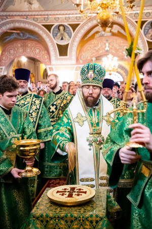 Божественная литургия в Свято-Троицком кафедральном соборе г. Саратова