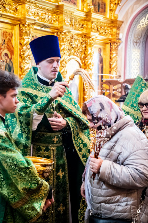 Божественная литургия в Свято-Троицком кафедральном соборе г. Саратова