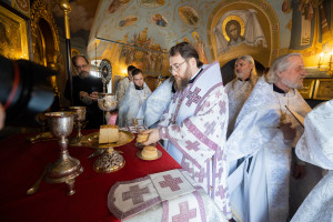 Митрополит Игнатий совершил вечерню в соединении с Крещальной литургией в Свято-Троицком кафедральном соборе г. Саратова