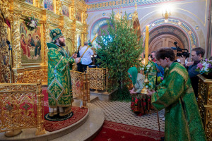 Митрополит Игнатий совершил Божественную литургию и великую вечерню в Свято-Троицком кафедральном соборе г. Саратова
