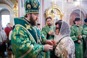Божественная литургия и великая вечерня в Свято-Троицком кафедральном соборе г. Саратова