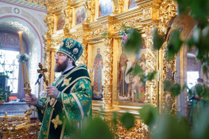 Божественная литургия и великая вечерня в Свято-Троицком кафедральном соборе г. Саратова