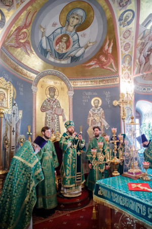 Божественная литургия и великая вечерня в Свято-Троицком кафедральном соборе г. Саратова